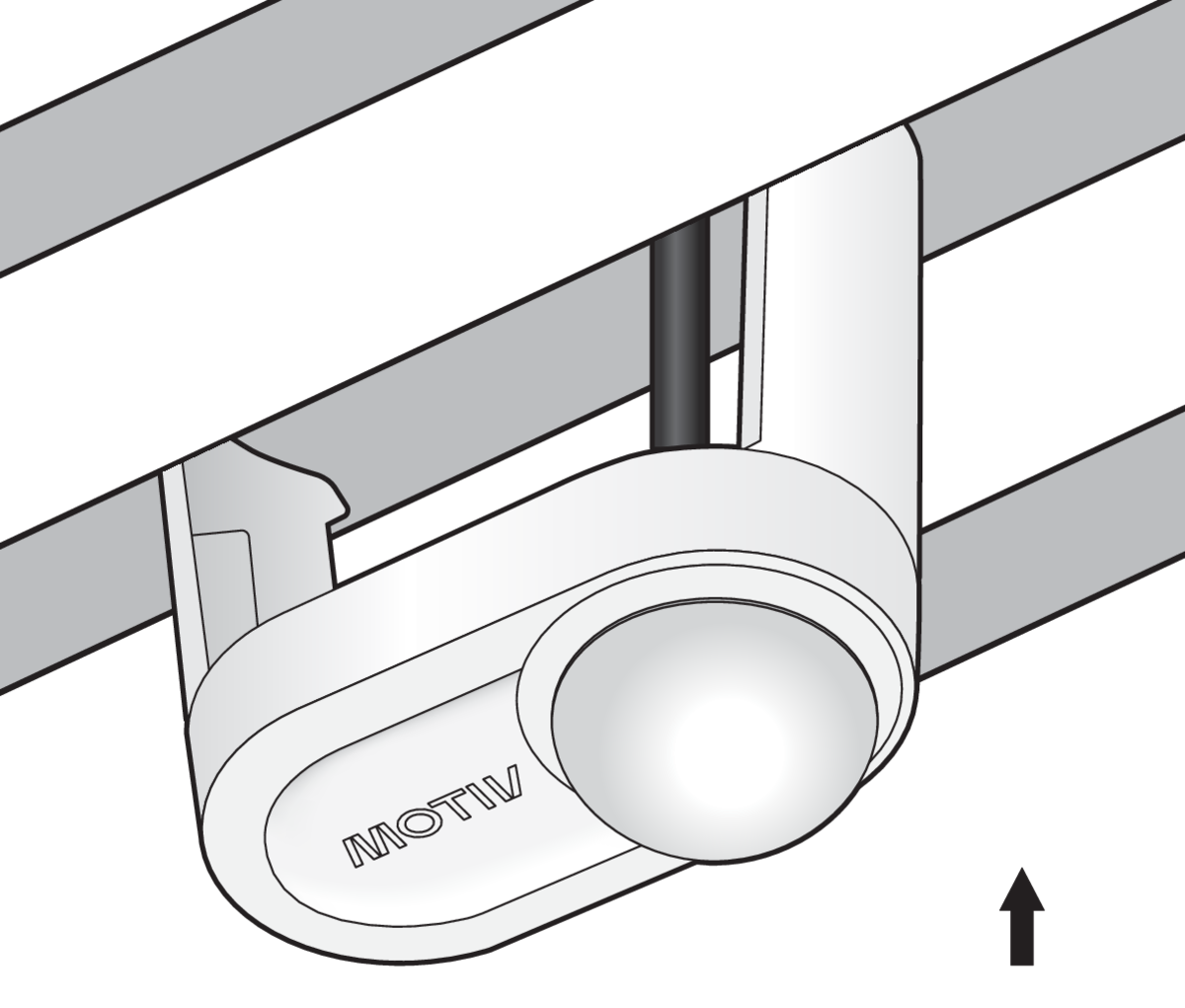 TG004